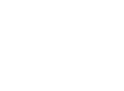 The old lion logo